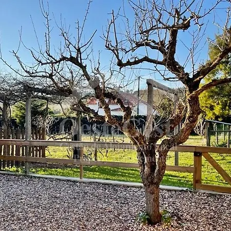 Villas Arneiro I וילה *